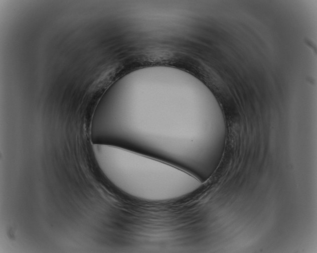 X0000097750644200803070843