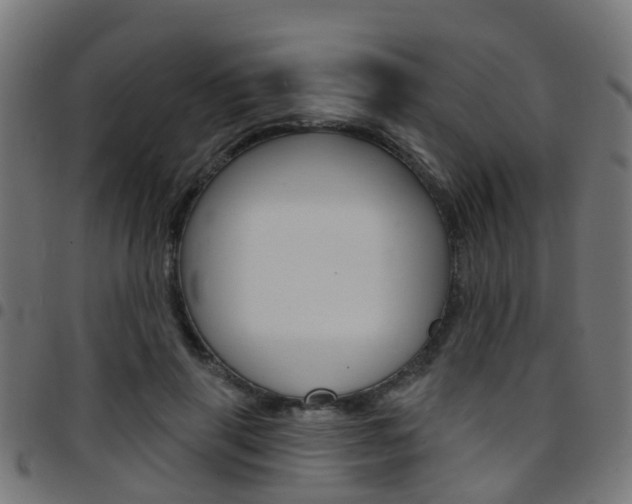 X0000097750645200803070843
