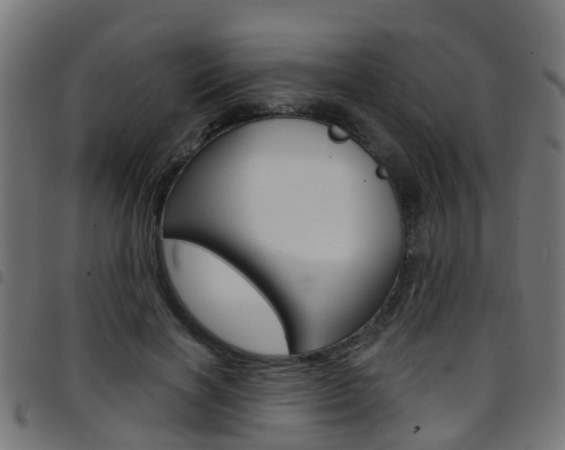 X0000097750646200803070843