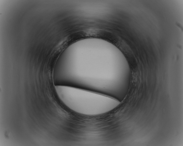 X0000097750648200803070843