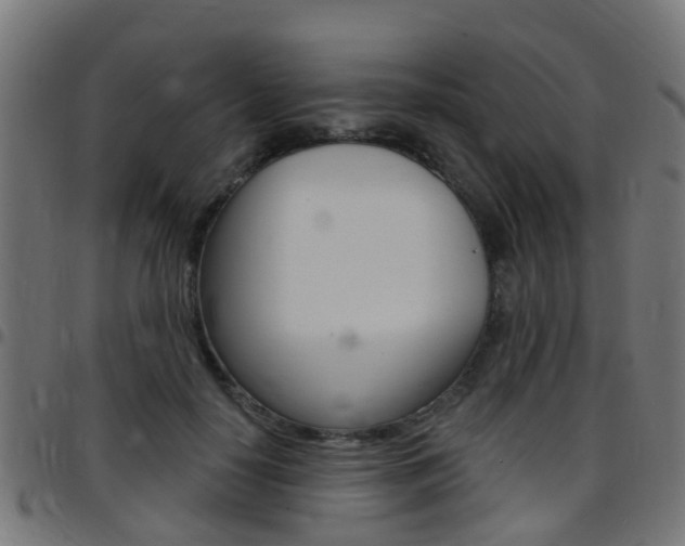 X0000097750650200803070843
