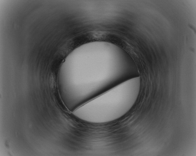 X0000097750651200803070843