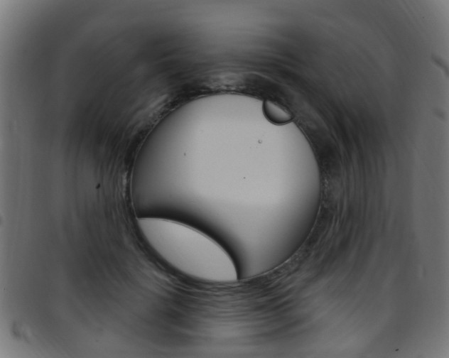 X0000097750652200803070843