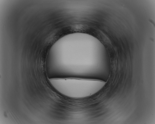 X0000097750653200803070843