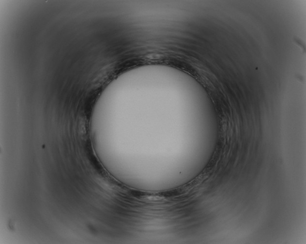X0000097750654200803070843