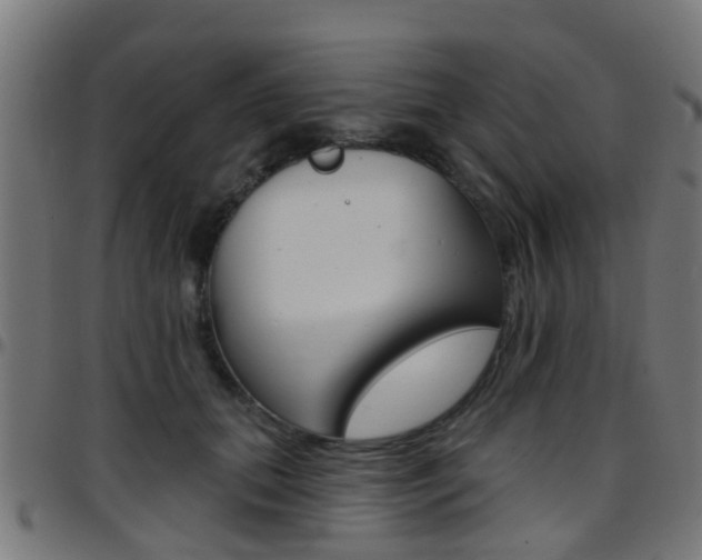 X0000097750655200803070843