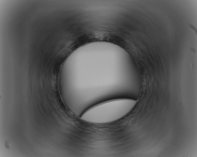 X0000097750656200803070843
