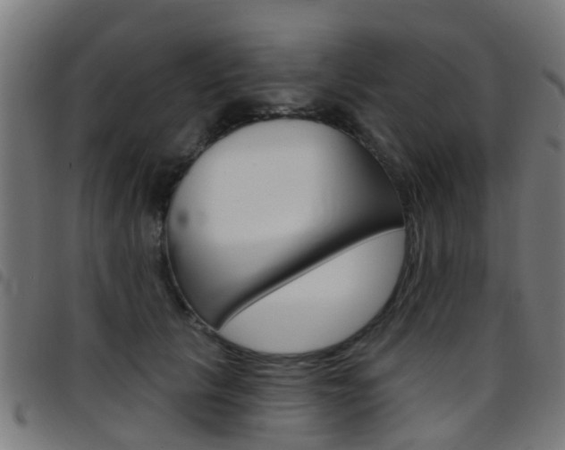 X0000097750657200803070843