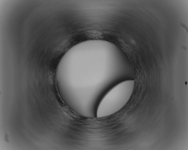 X0000097750658200803070843