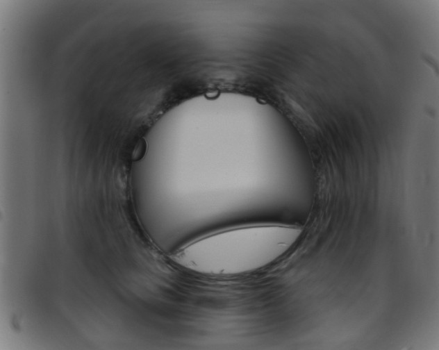X0000097750661200803070843
