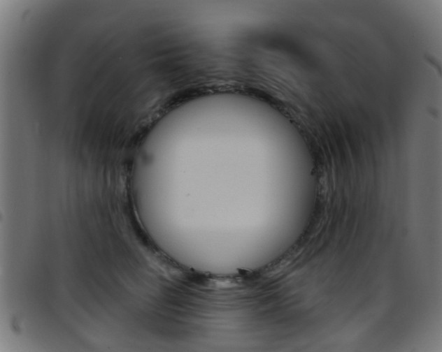X0000097750662200803070843