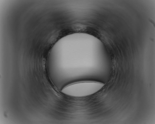 X0000097750664200803070843