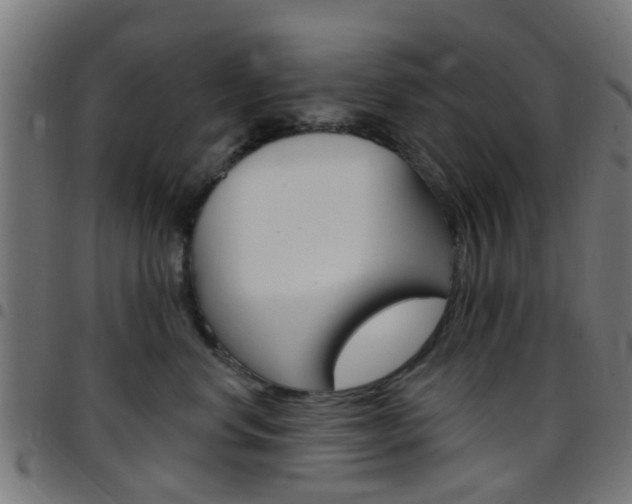 X0000097750668200803070843
