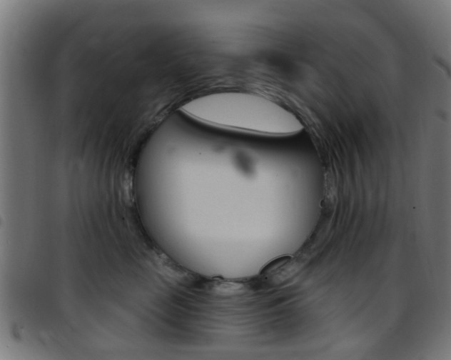 X0000097750669200803070843