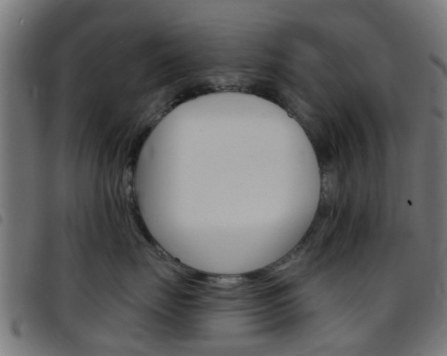 X0000097750671200803070843