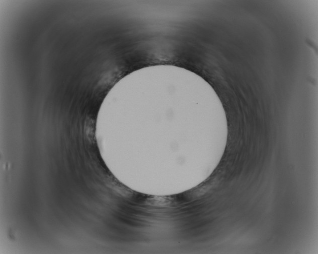 X0000097750672200803070843