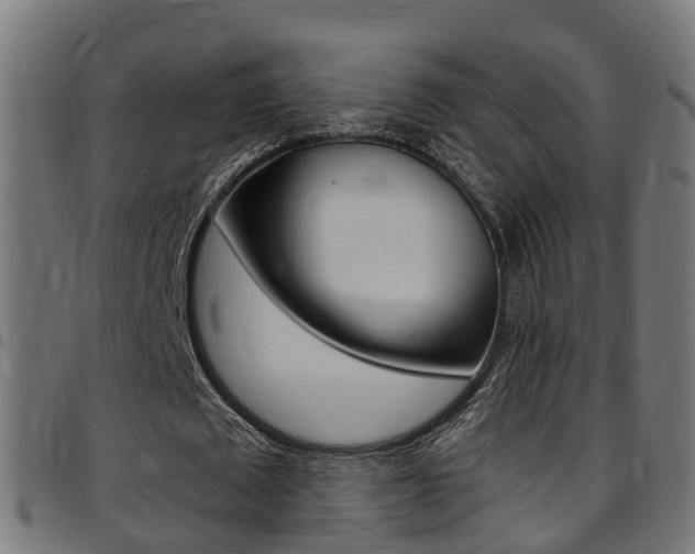 X0000097750673200803070843