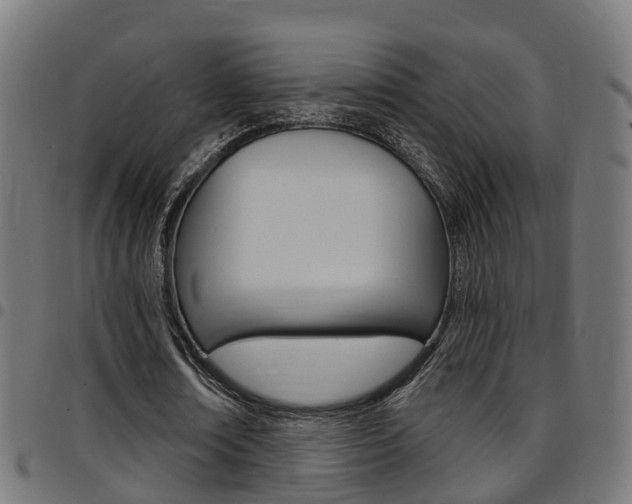 X0000097750674200803070843