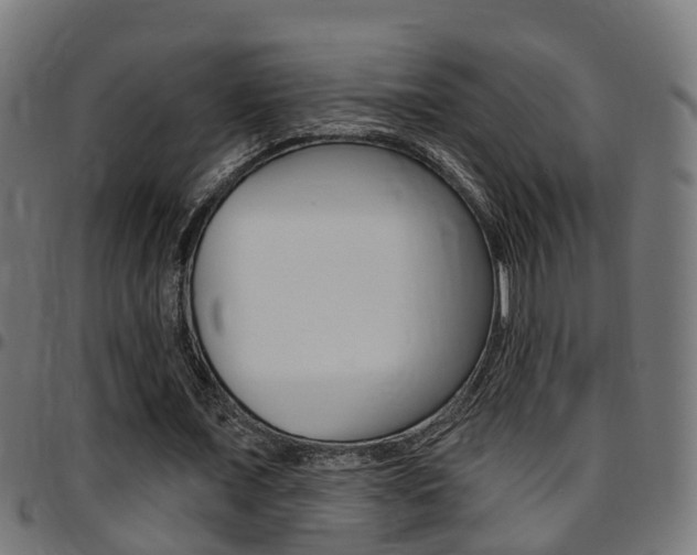 X0000097750675200803070843