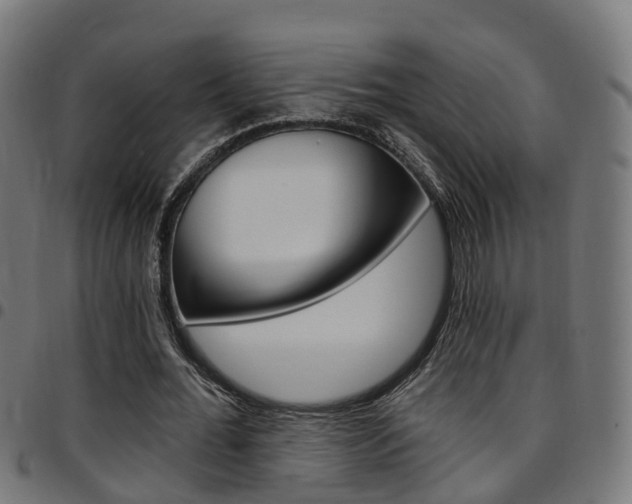 X0000097750676200803070843