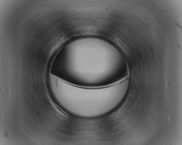 X0000097750677200803070843