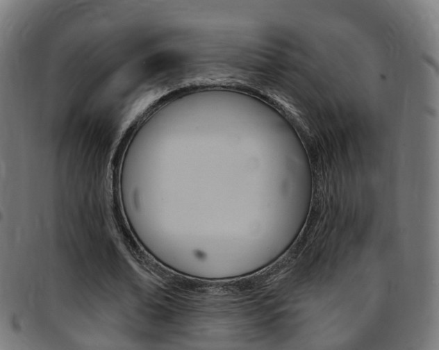 X0000097750678200803070842