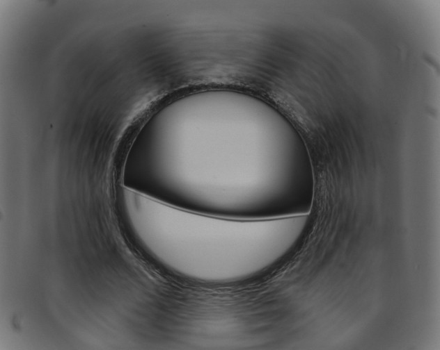 X0000097750680200803070842