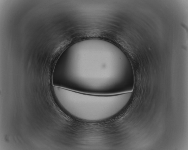 X0000097750681200803070842