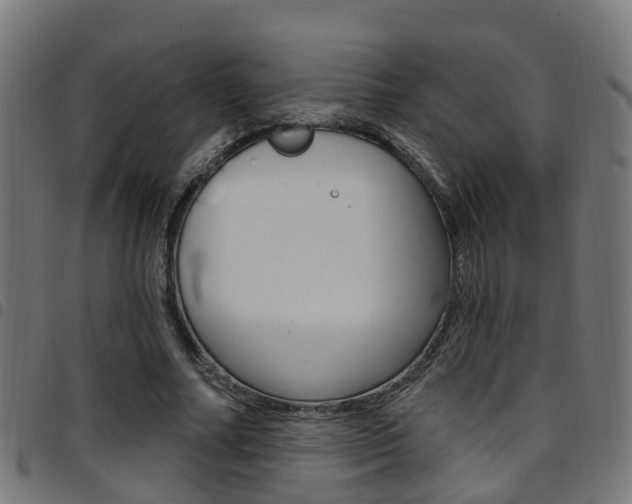 X0000097750682200803070842