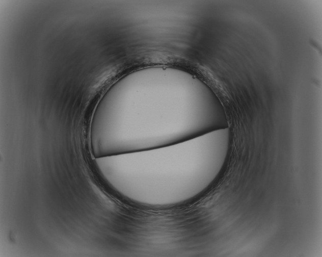 X0000097750683200803070842