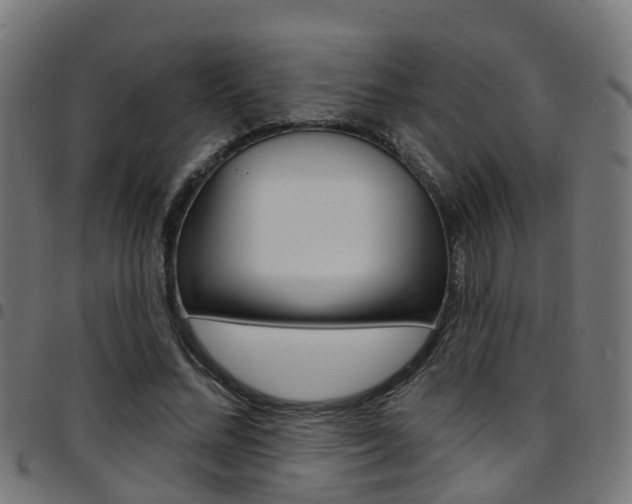 X0000097750684200803070842