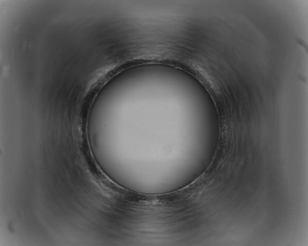 X0000097750688200803070842