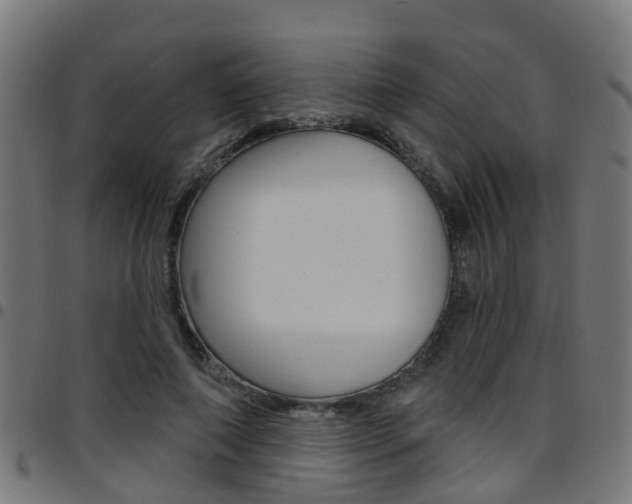 X0000097750690200803070842