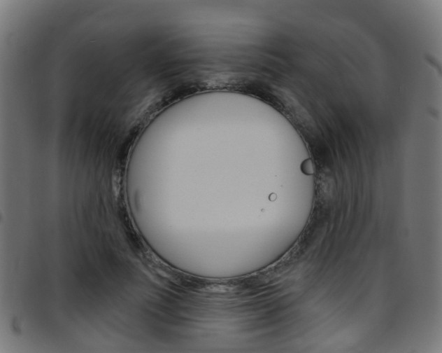 X0000097750691200803070842