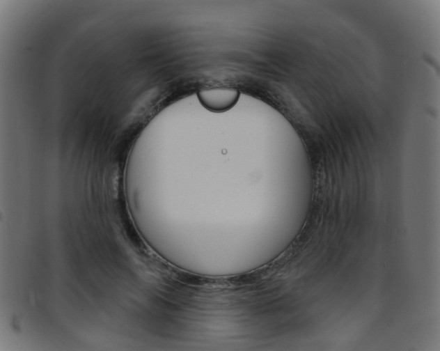 X0000097750694200803070842