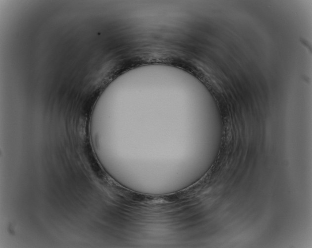 X0000097750695200803070842