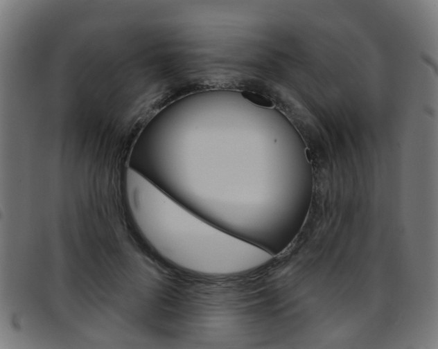 X0000097750696200803070842