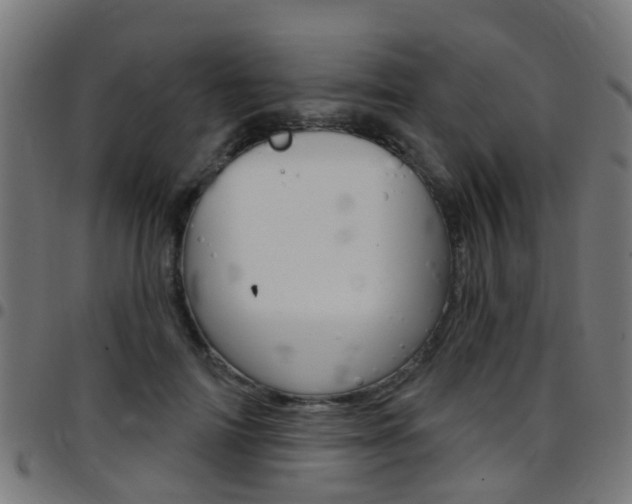 X0000097750698200803070842