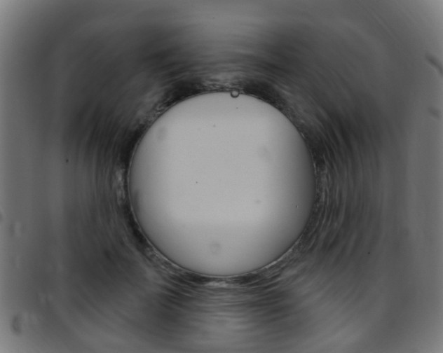 X0000097750699200803070842