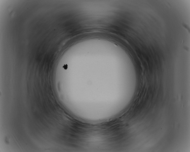 X0000097750701200803070842