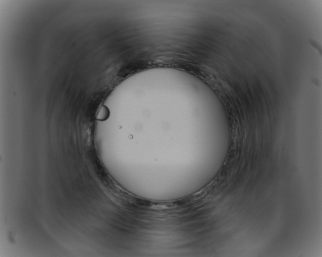 X0000097750703200803070842