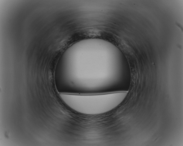 X0000097750704200803070842