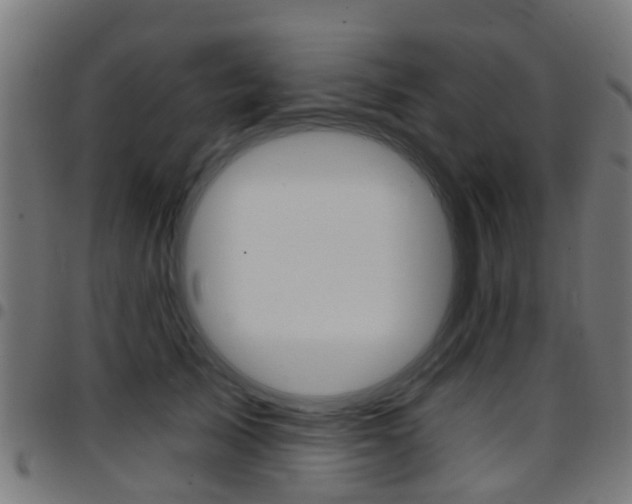 X0000097750705200803070842