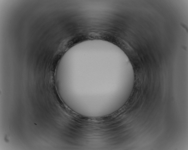 X0000097750706200803070842