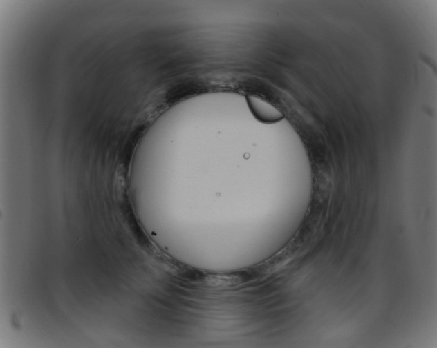 X0000097750707200803070842