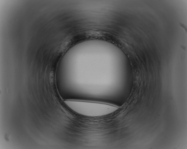 X0000097750708200803070842