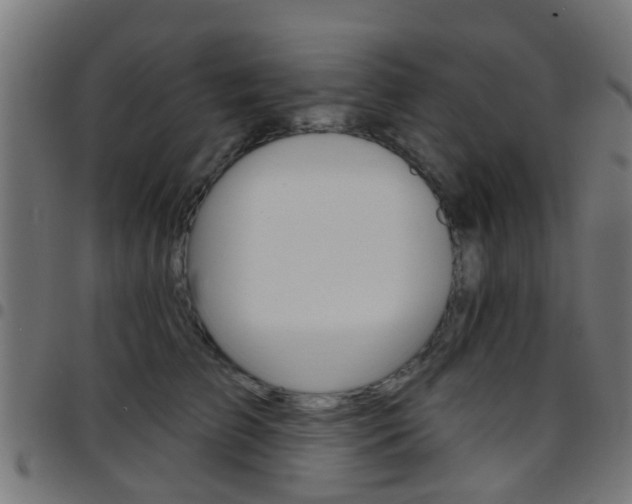 X0000097750709200803070842