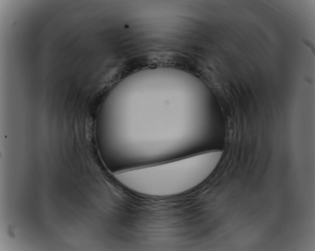 X0000097750712200803070842