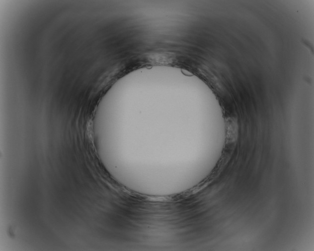 X0000097750713200803070842