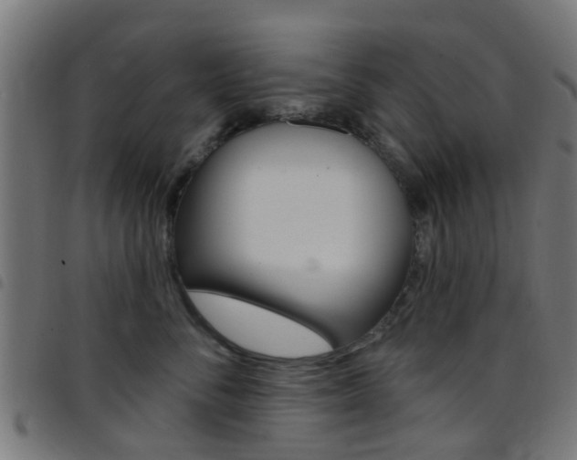X0000097750716200803070842